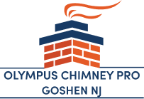 Olympus Chimney Pro
